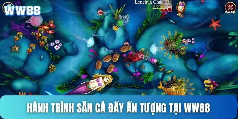 Hành trình săn cá đầy ấn tượng tại WW88 Hành trình săn cá đầy ấn tượng tại WW88
